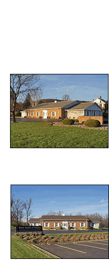 Walter Hopkins & Company LLP